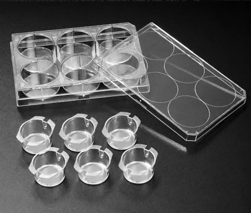 Khay cấy tế b&agrave;o v&ocirc; tr&ugrave;ng 6-12-24 giếng Biologix