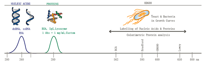 Ứng dụng của máy đo nồng độ DNA trong công nghệ sinh học phân tử