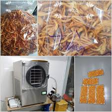 Máy sấy thăng hoa đông trùng hạ thảo LFD-6